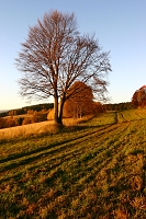 podve?ern�