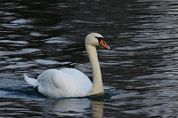 labu?�-�klikn?te�pro�zv?t�en�