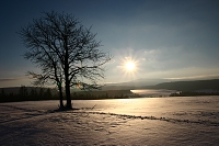 zimní slunce - klikněte pro zvětšení