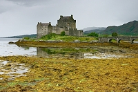 EileenDonanCastle