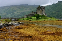 EileenDonanCastle