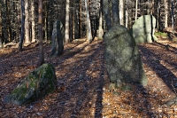 kliknte pro dal z celkem  fotografi