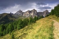 Dolomity,BeccodiMezzodiaRaRocheta.