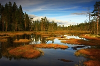 kliknte pro dal z celkem 100 fotografi