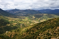 Peyrepertuse