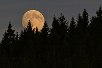 M?s�c�vych�z�