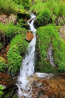 Jaru�?in�vodop�d