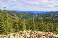Hadvrch