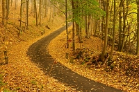 Kru�nohorsk�silni?ka