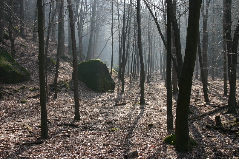 Vstava Tich zastaven II, KC Novodvorsk