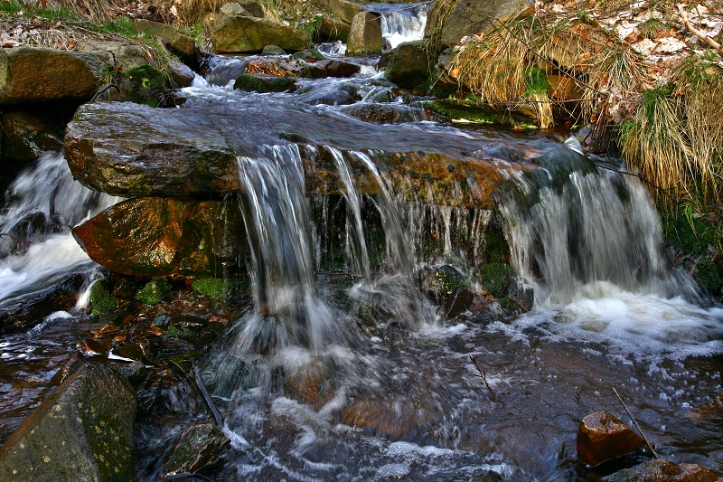 Vstava Tich zastaven II, KC Novodvorsk